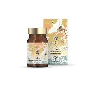 命の元